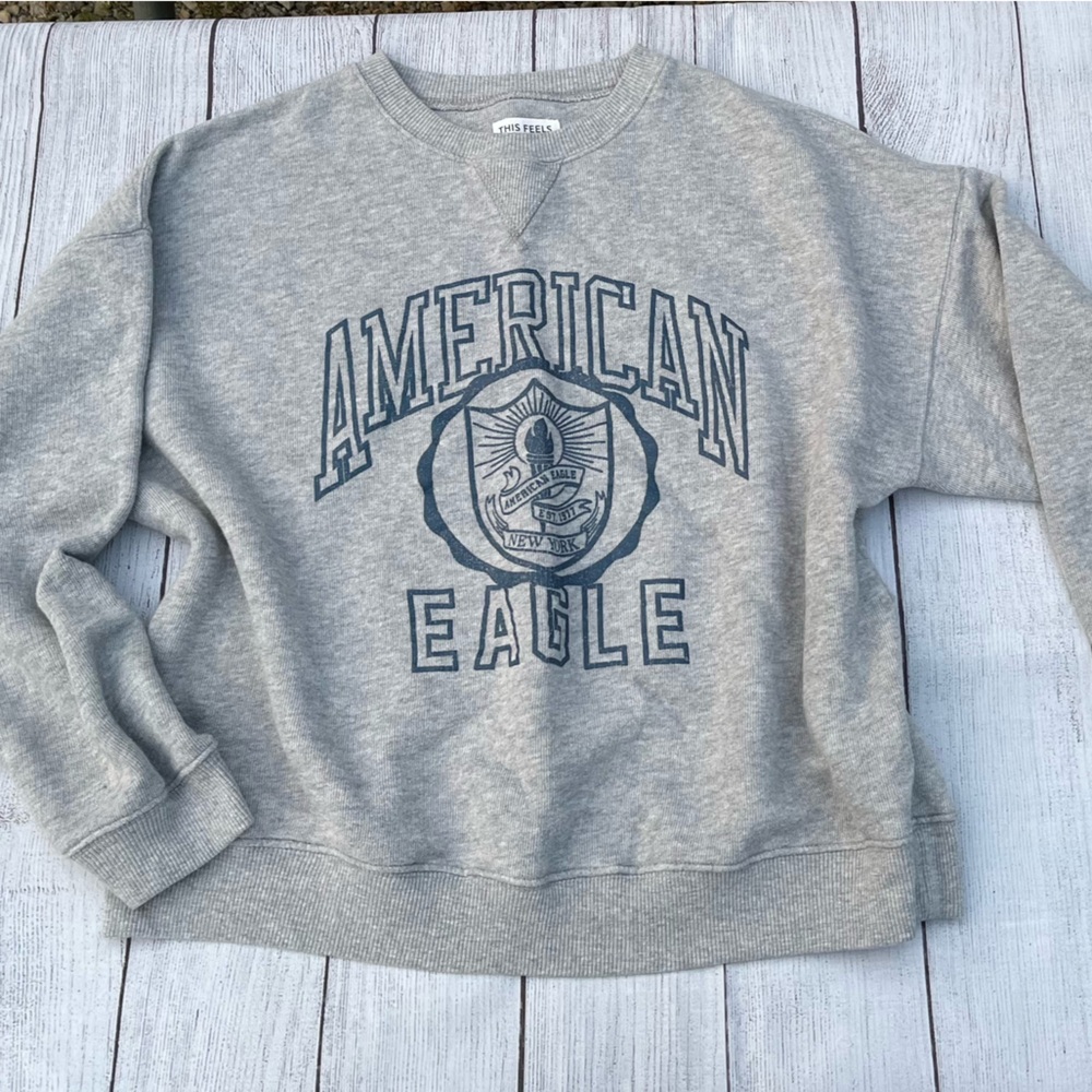 American Eagle Outfitters Blue and Gray oversized Graphic Sweatshirt